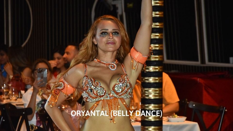 Bosphorus Dinner Cruise and Turkish Night Shows